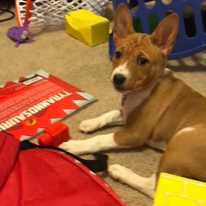 Meet your Posher, Anna